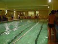 100 metros libres 100 metros libres