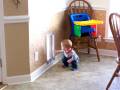 videos de Little Dallas and the doggy door  Dec.3, 2008