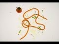 Molecular Gastronomy - Reconstructed Tomato ...