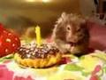 SZAROTKA's BIRTHDAY movie!
