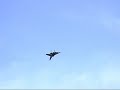 Su 27 Flanker RC-model