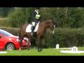 Benvolio Dressage Pontispool