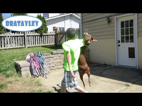 how to - We hang outside playing with bubbles. Caleb accidentally judo chops Piper. Then the boys then head to WWE Raw to see some wrestling. Bratayley
