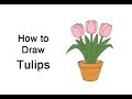 How To Draw Flower Step By Step