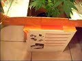 6 euro grow box (part2)