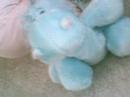 Webkinz Circus (Kind Of) Webkinz Circus (Kind Of)