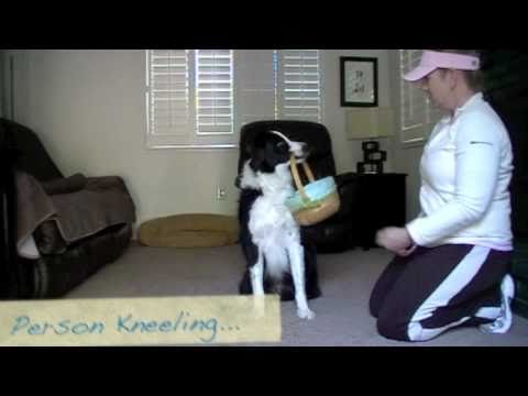 how to involve dog in proposal
