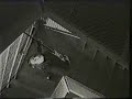 The Primitives - Stop Killing Me