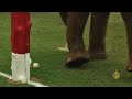 هذا الصباح-فيلة بانكوك تلعب البولو لإعالة نفسها -Views : 0