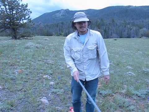 how to belt transect