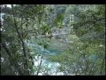 CHUBUT-Parque Nacional LOS ALERCES.mp4