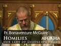 Nov 09 - Homily: Dedication of the Lateran Basilica