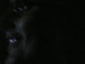 Thumbnail #3