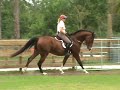 Catalyst - 4 yr Conformation Hunter, Jumper Prospect
