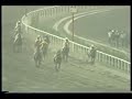 HIGH MASTER - G.P. As. Latinoamericana de Jockey Clubes 1984 HIGH MASTER - G.P. As. Latinoamericana de Jockey Clubes 1984