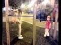 voglio una vita....SPERICOLATA