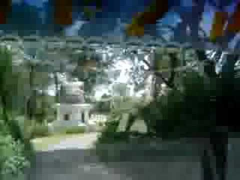 India - Driving to a forest in ...