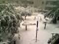videos de Nevicata a Trani 151207