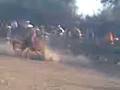 videos de JARIPEO 1