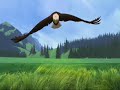 Spirit, El Corcel Indomable (Hevia)