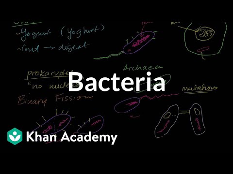 how to isolate archaea