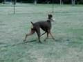 Found a dumbell