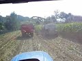 ensilage maïs ensilage maïs