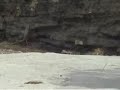 Amazing Flash Flood Footage, David Rankin Rankinstudio.com