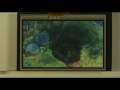 ziilabs HD Android Demonstration
