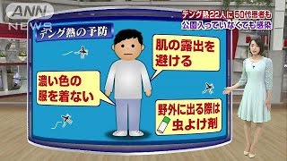 新たな感染者続出!デング熱、どうすれば防げる?