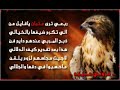 السليس في وداع مزاين الهيلا ( نفود السر ) نفود السر تبكي ما تلامي ......... بعد ربعي عتيبه فارقوهامرثية نفود السر للشاعر / بدر بن صنت بن جزيان السليس أداء / جزيان بن صنت السليس