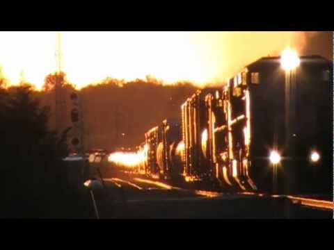 grand national results