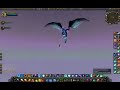 Late Night Kite and Suicide