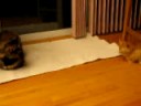 The Stand Off