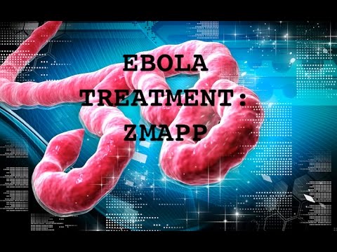 how to treat ebola
