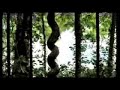 Go Alone - Nightmare at the Kings Park Psychiatric Center