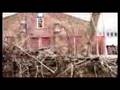 Go Alone - Nightmare at the Kings Park Psychiatric Center