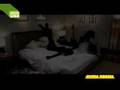 (hed) pe-black out
