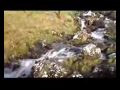 Ierland Ierland