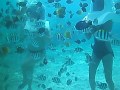 Click here to watch this video Helmet Diving in Boracay Philippines 2012