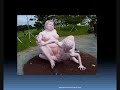 PARQUE EROTICO (Erotic Park)