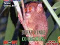 videoke - (opm) panakip butas videoke - (opm) panakip butas