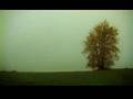 Herbst