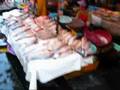 Visions of Busan 부산 Pusan - Haeundae Beach 해운대, Fish Market, KTX Bullet Train