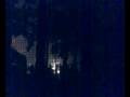 Ver Video