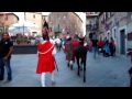 CAMPAGNATICO PALIO DEI CIUCHI 2009 ..FOTO PALIOhttp://grossetomaremma.blogspot.com/