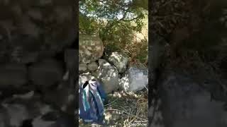 بيت شنه والمقام شرق الرمله