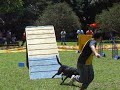 King competindo na 4ª Etapa_2
