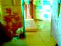 videos de niña gritona
