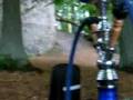picnic at the bramburg